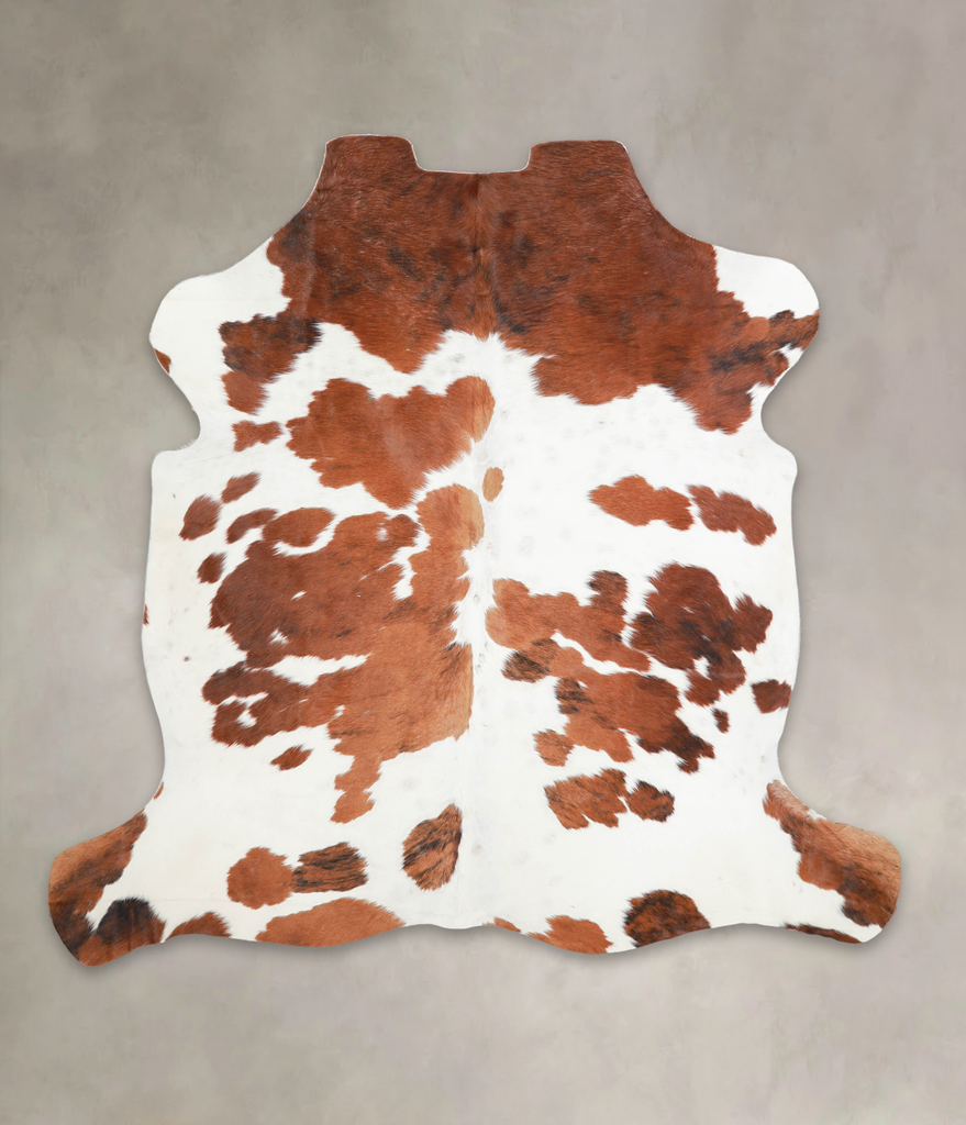 Brown and White X-Large European Cowhide Rug 6'5"H x 6'7"W #A27077 by Hudson Hides