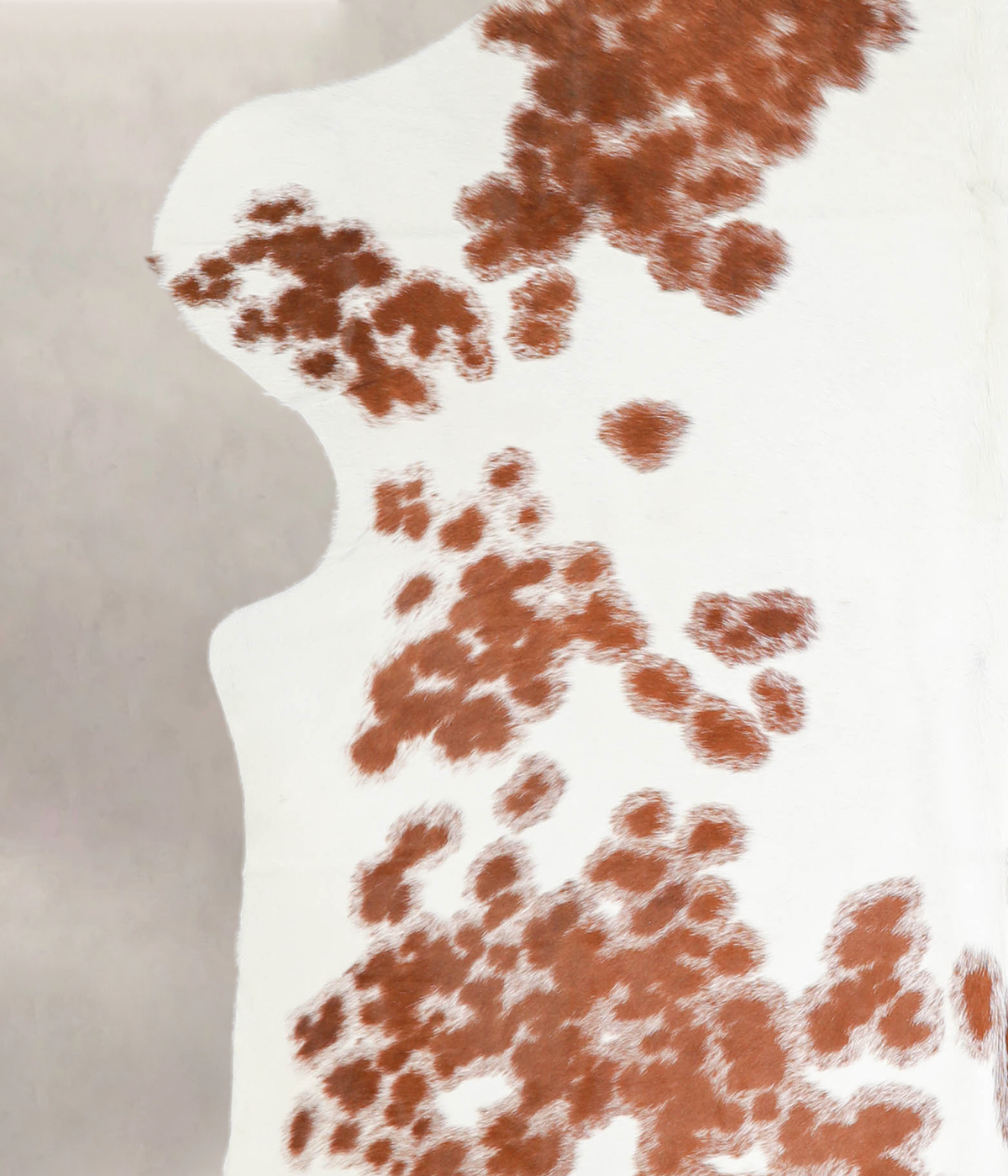 Brown and White X-Large European Cowhide Rug 7'4"H x 6'5"W #A27193 by Hudson Hides