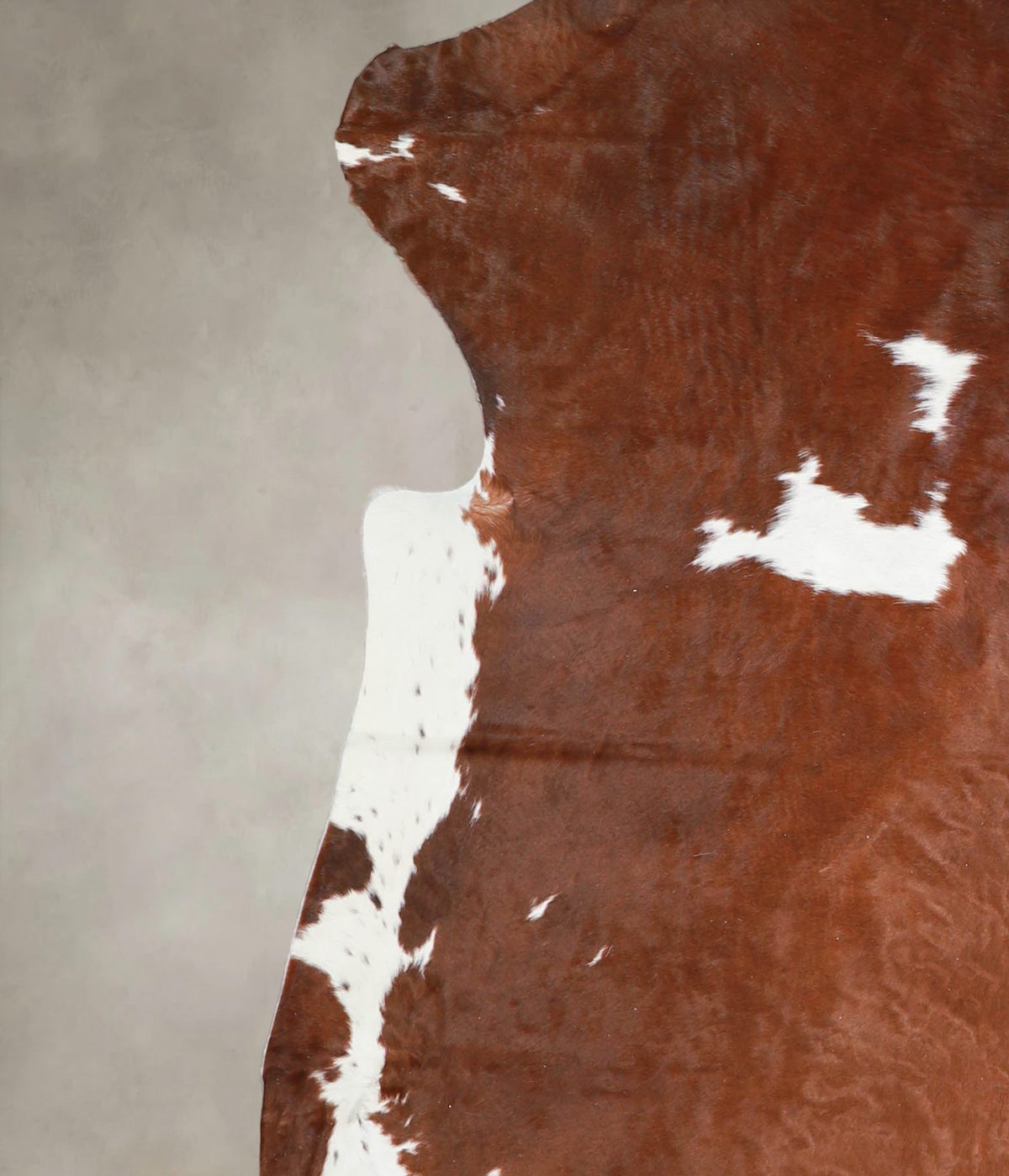 Brown and White X-Large European Cowhide Rug 7'2"H x 6'4"W #A27206 by Hudson Hides