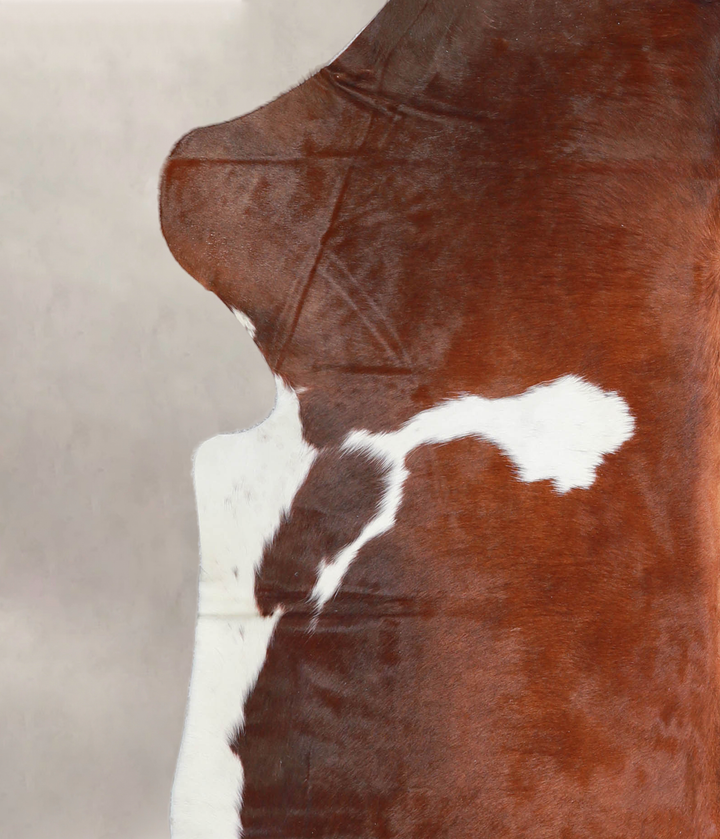 Brown and White X-Large European Cowhide Rug 7'7"H x 6'6"W #A27259 by Hudson Hides