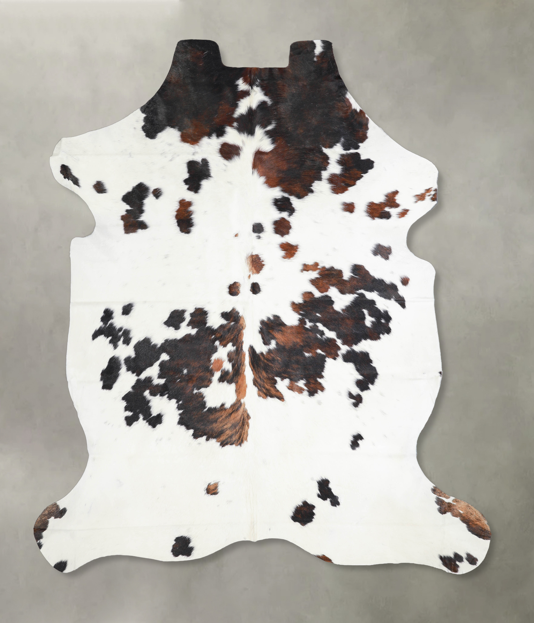Tricolor Cowhide Rug #A27269