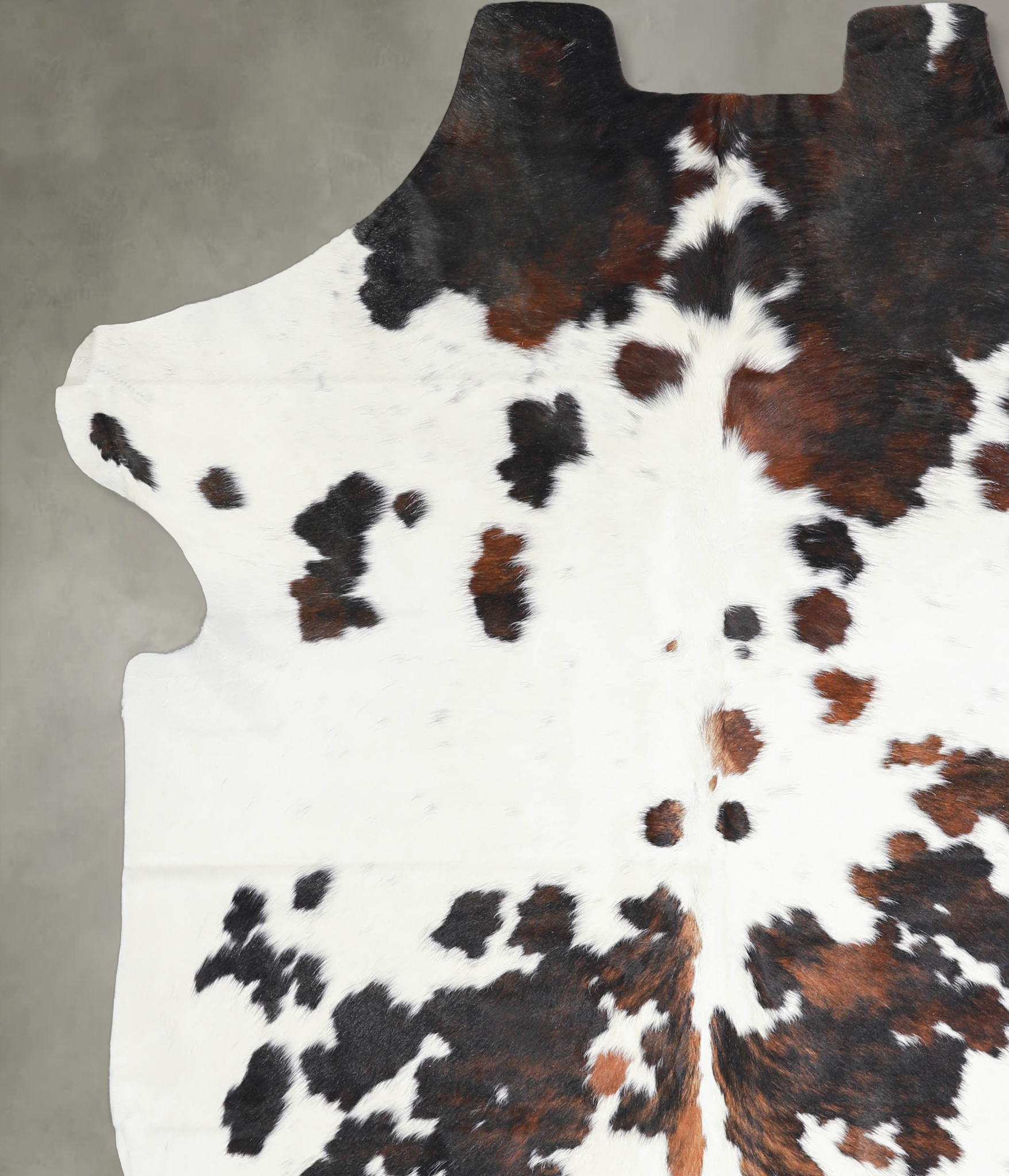 Tricolor Cowhide Rug #A27269