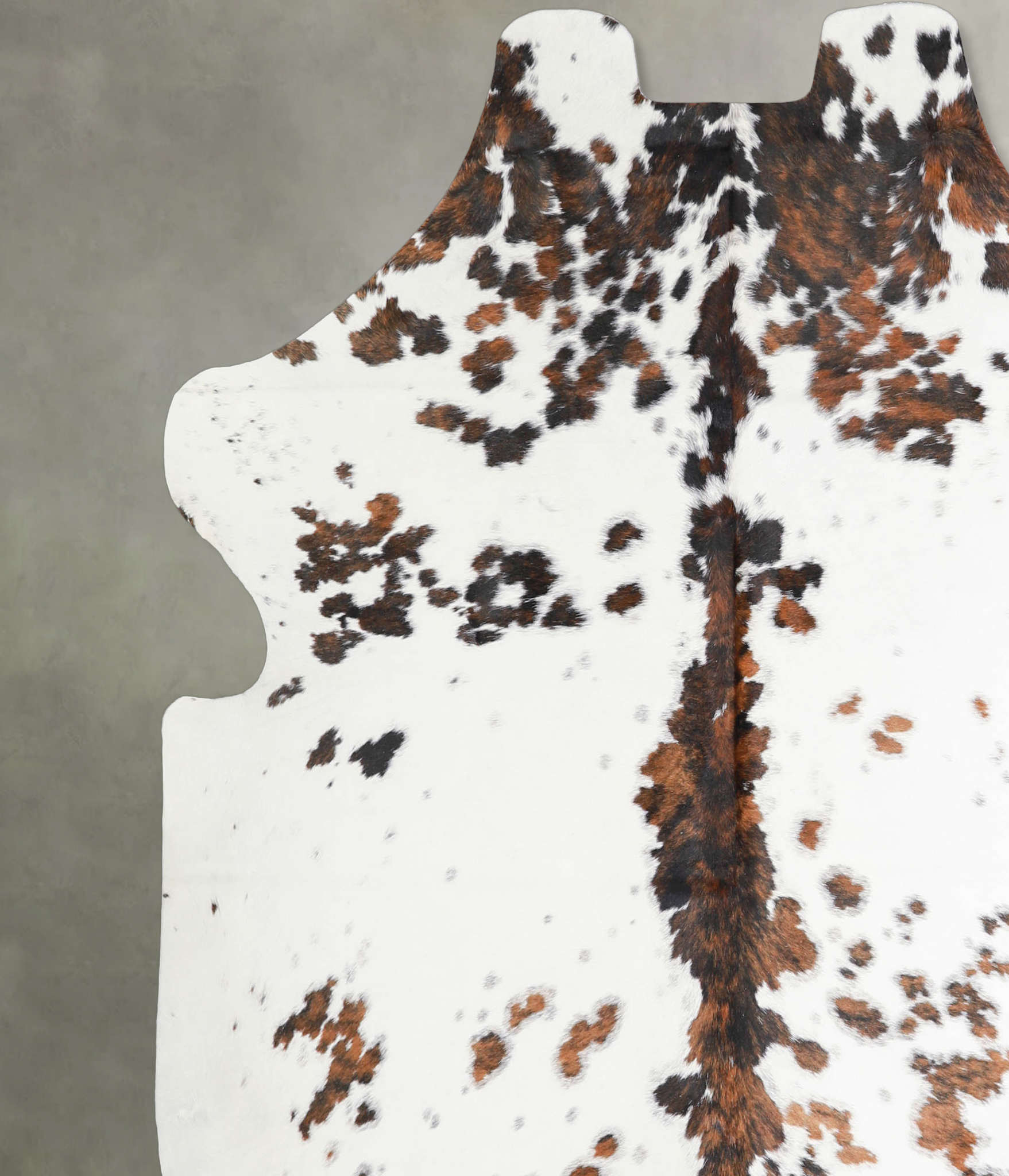 Tricolor Cowhide Rug #A27297