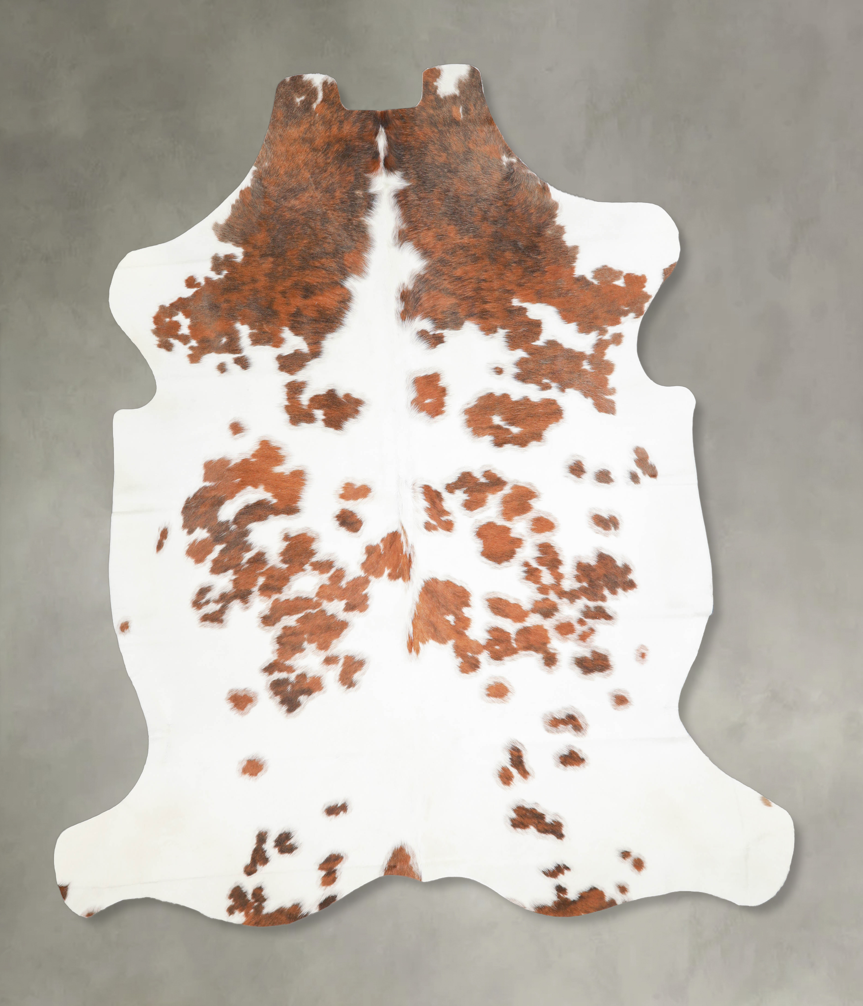 Tricolor Cowhide Rug #A27317