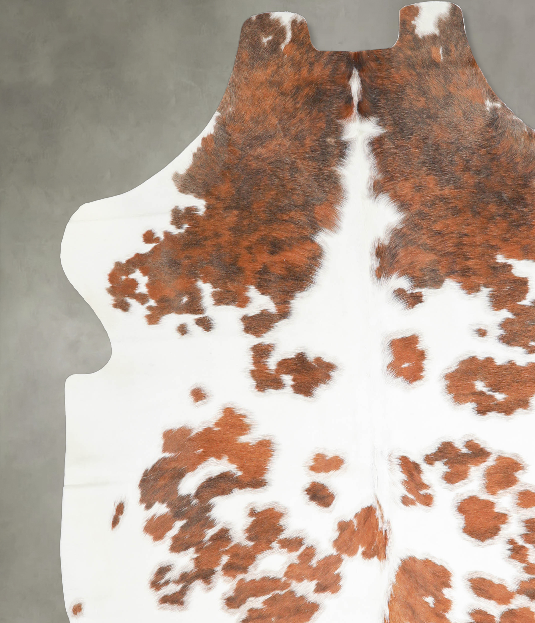 Tricolor Cowhide Rug #A27317