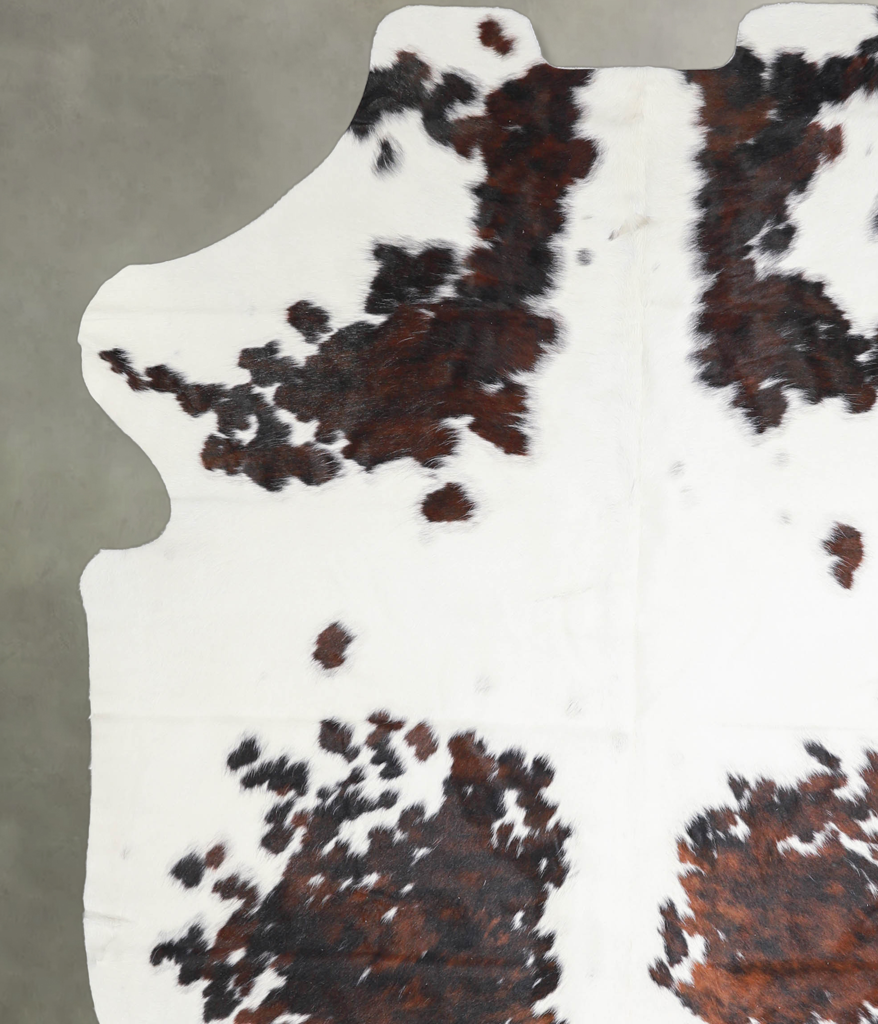 Tricolor Cowhide Rug #A27335