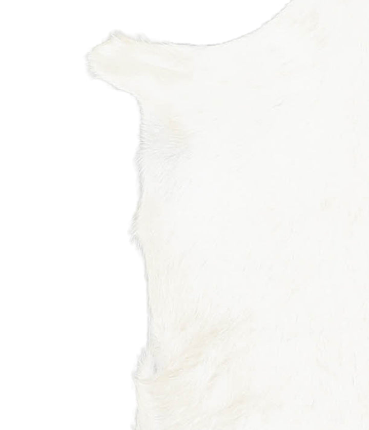 Goatskin Approx 2'3 #A27643 by Hudson Hides