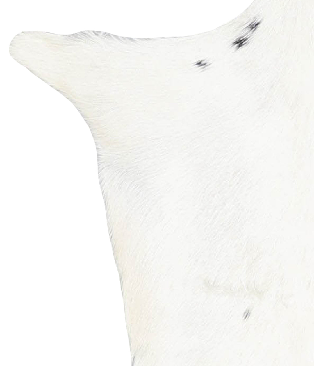 Goatskin Approx 2'3 #A27661 by Hudson Hides