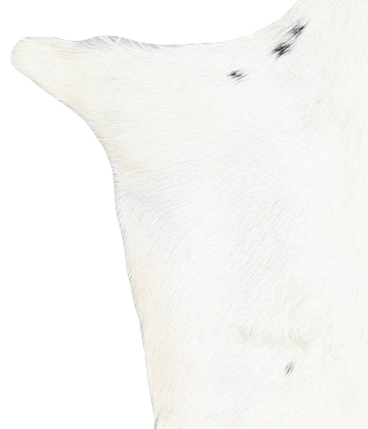 Goatskin Approx 2'3 #A27661 by Hudson Hides
