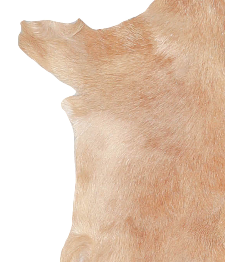 Goatskin Approx 2'3 #A27795 by Hudson Hides