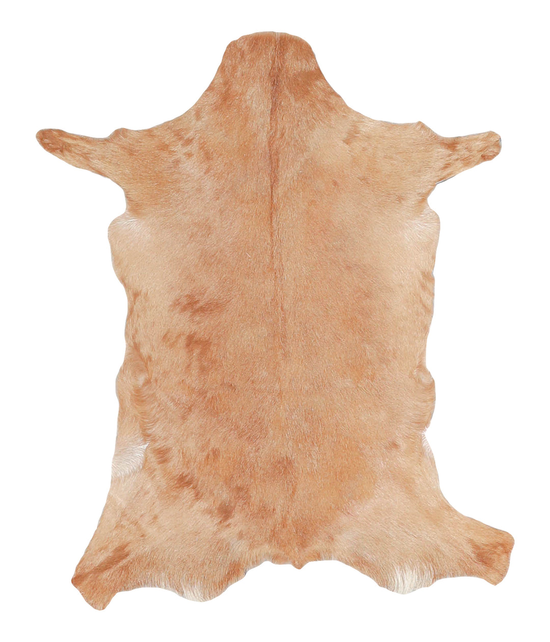 Goatskin Approx 2'3 #A27796 by Hudson Hides