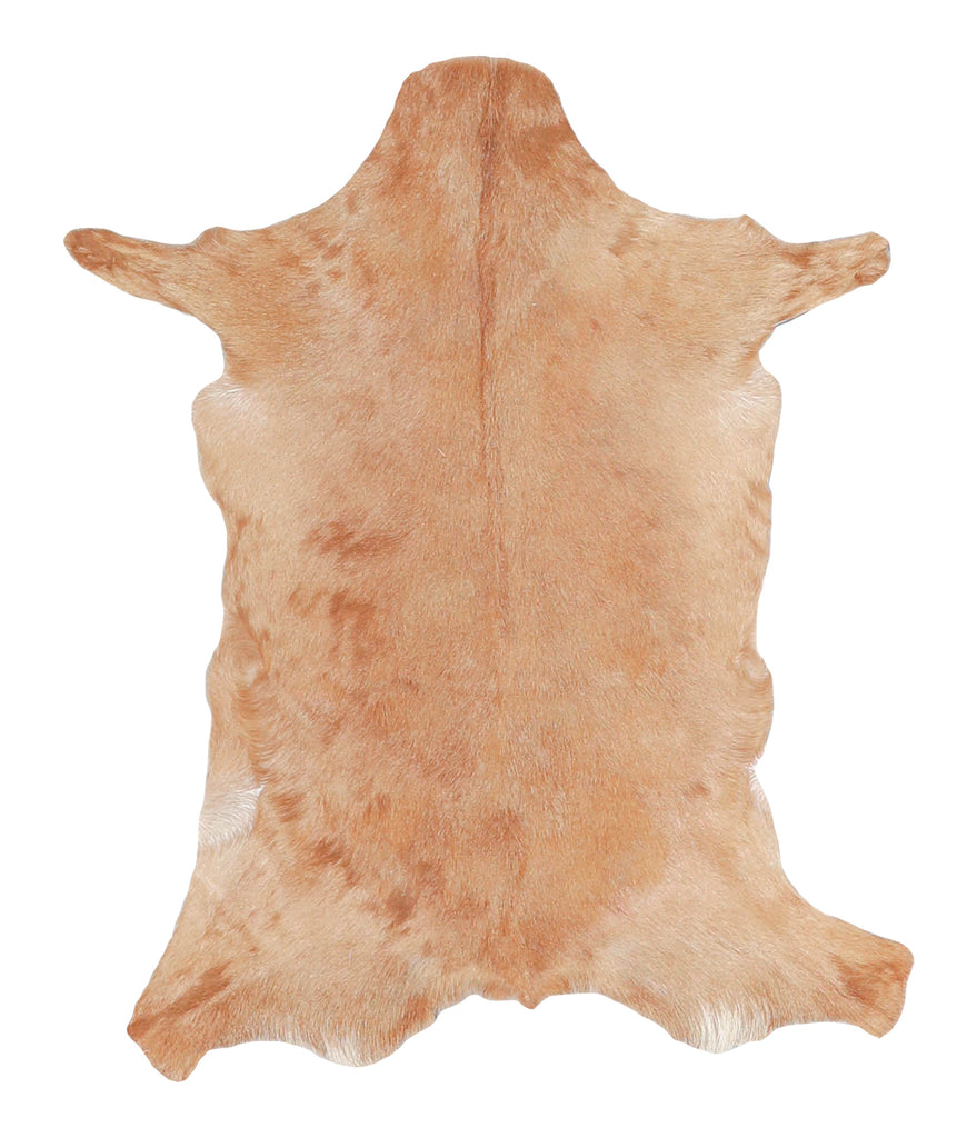 Goatskin Approx 2'3 #A27796 by Hudson Hides