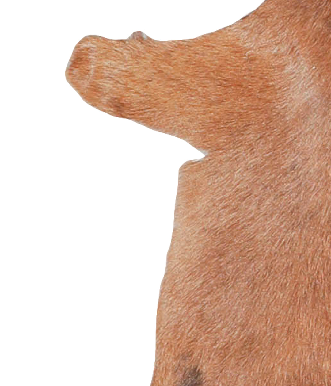 Goatskin Approx 2'3 #A27798 by Hudson Hides