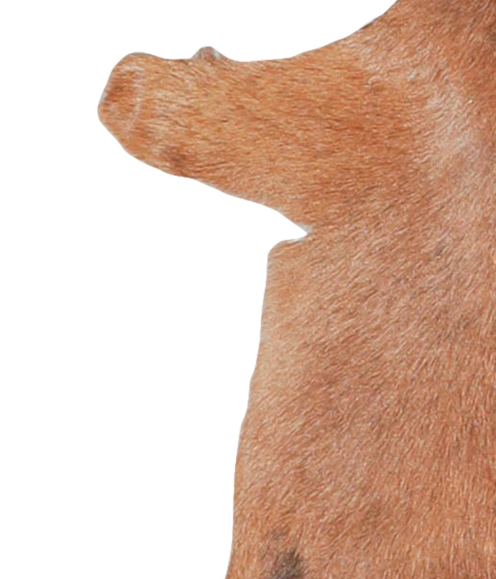 Goatskin Approx 2'3 #A27798 by Hudson Hides