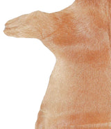 Goatskin Approx 2'3 #A27824 by Hudson Hides