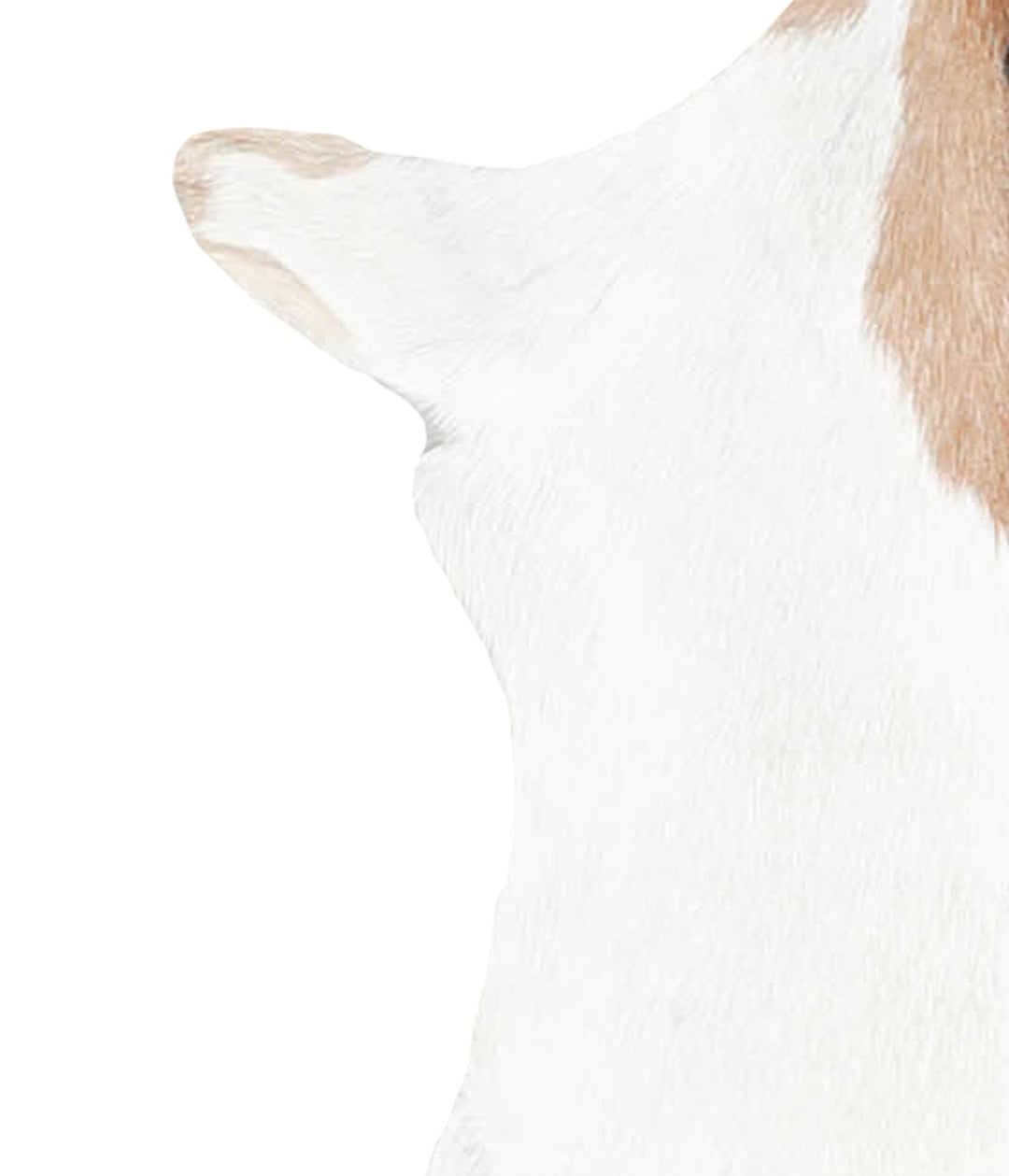 Goatskin Approx 2'3 #A27836 by Hudson Hides