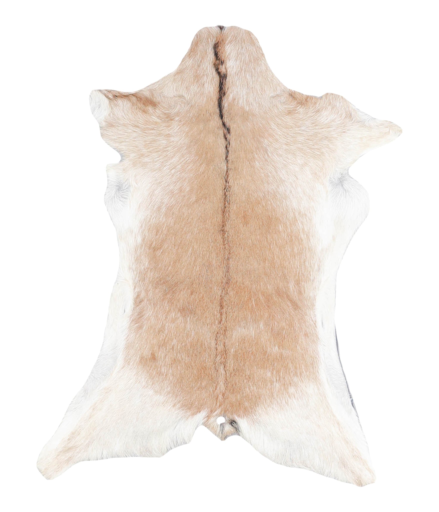 Goatskin #A27869