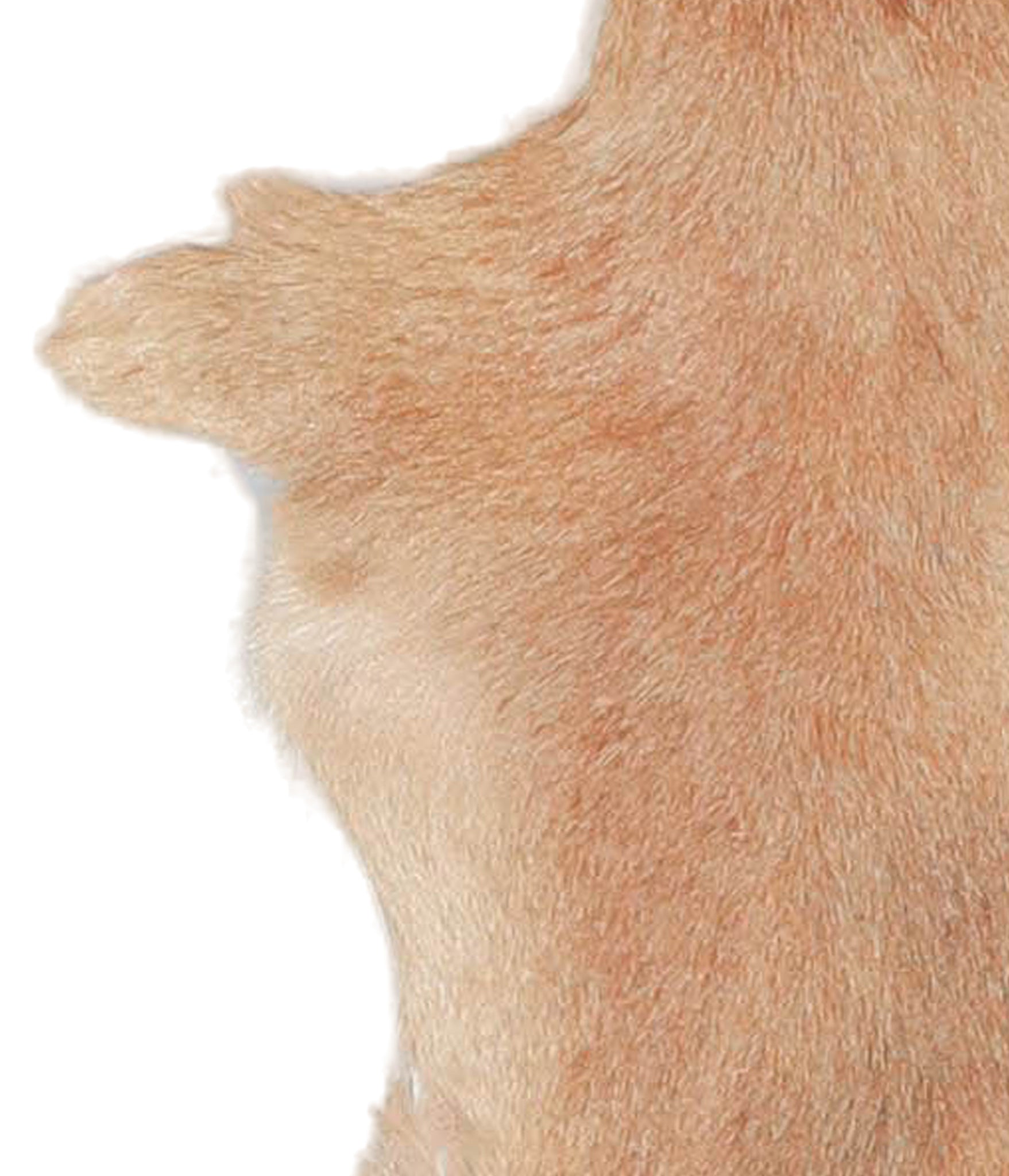 Goatskin #A27875