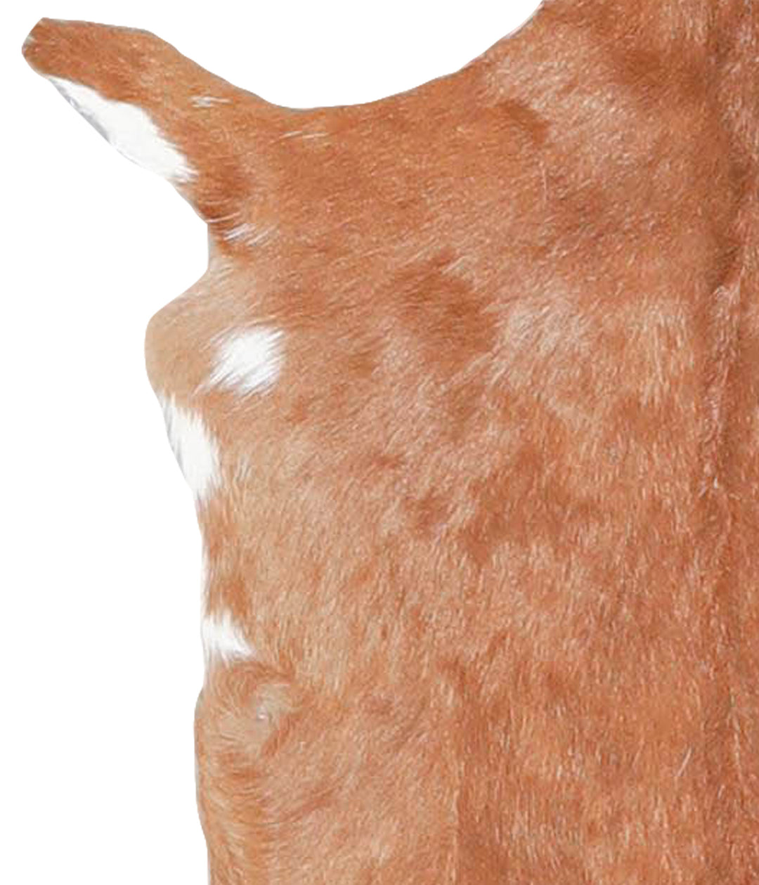 Goatskin Approx 2'3 #A27878 by Hudson Hides