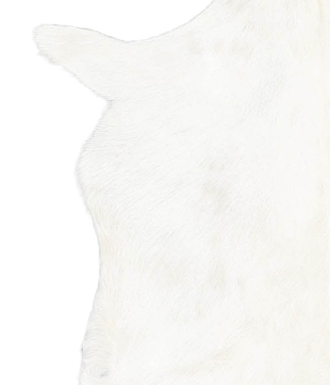 Goatskin Approx 2'3 #A27898 by Hudson Hides