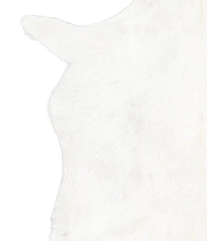 Goatskin Approx 2'3 #A27898 by Hudson Hides