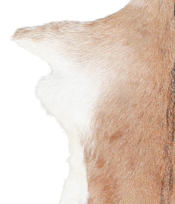 Goatskin Approx 2'3 #A27905 by Hudson Hides