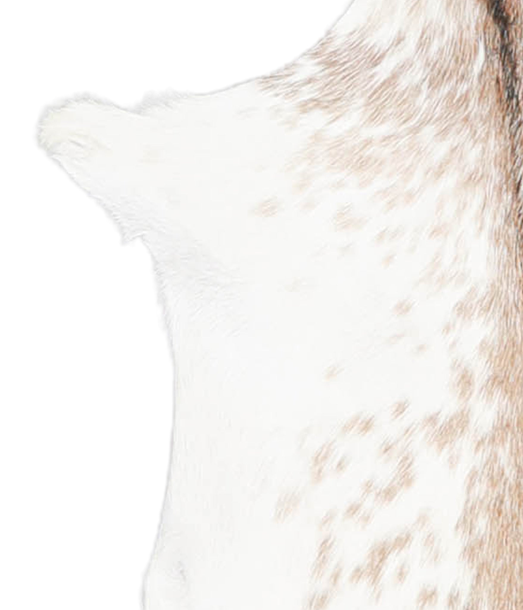Goatskin #A27923