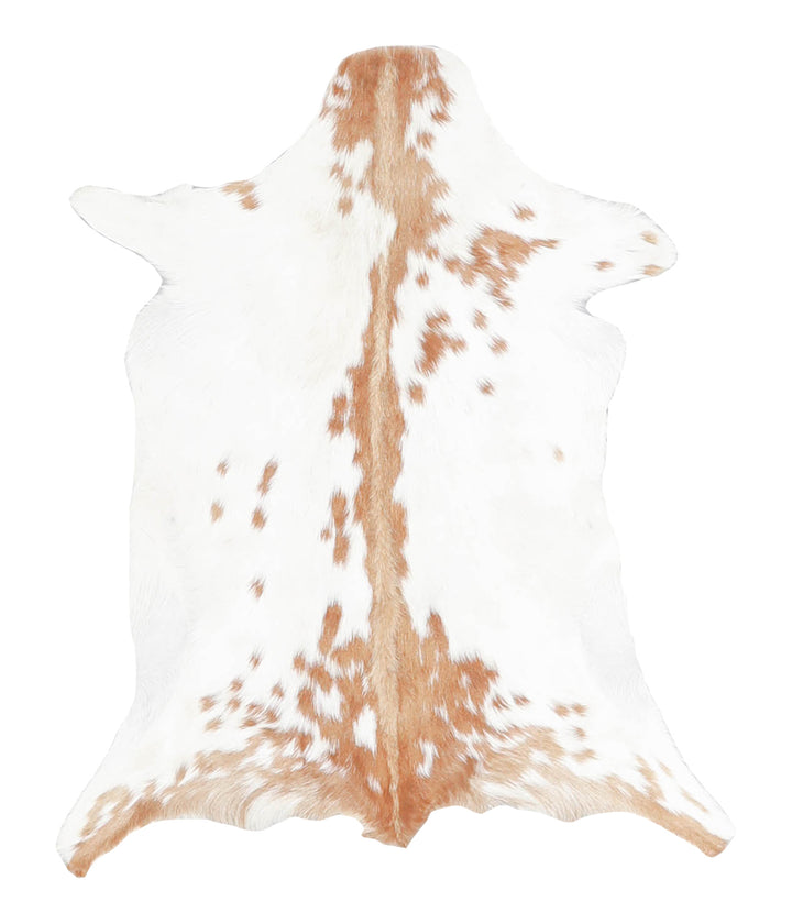 Goatskin Approx 2'3 #A27940 by Hudson Hides