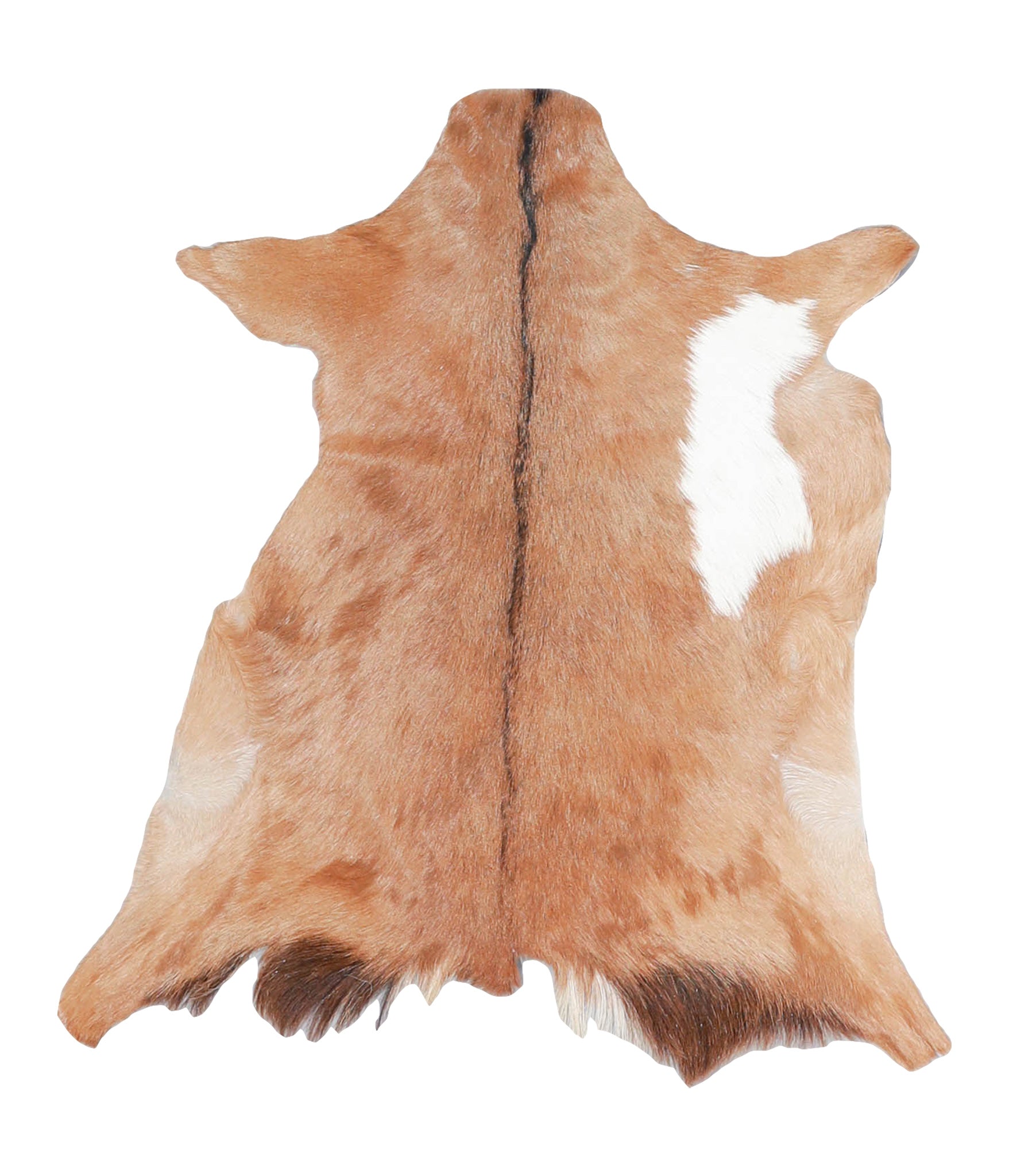 Goatskin #A27961