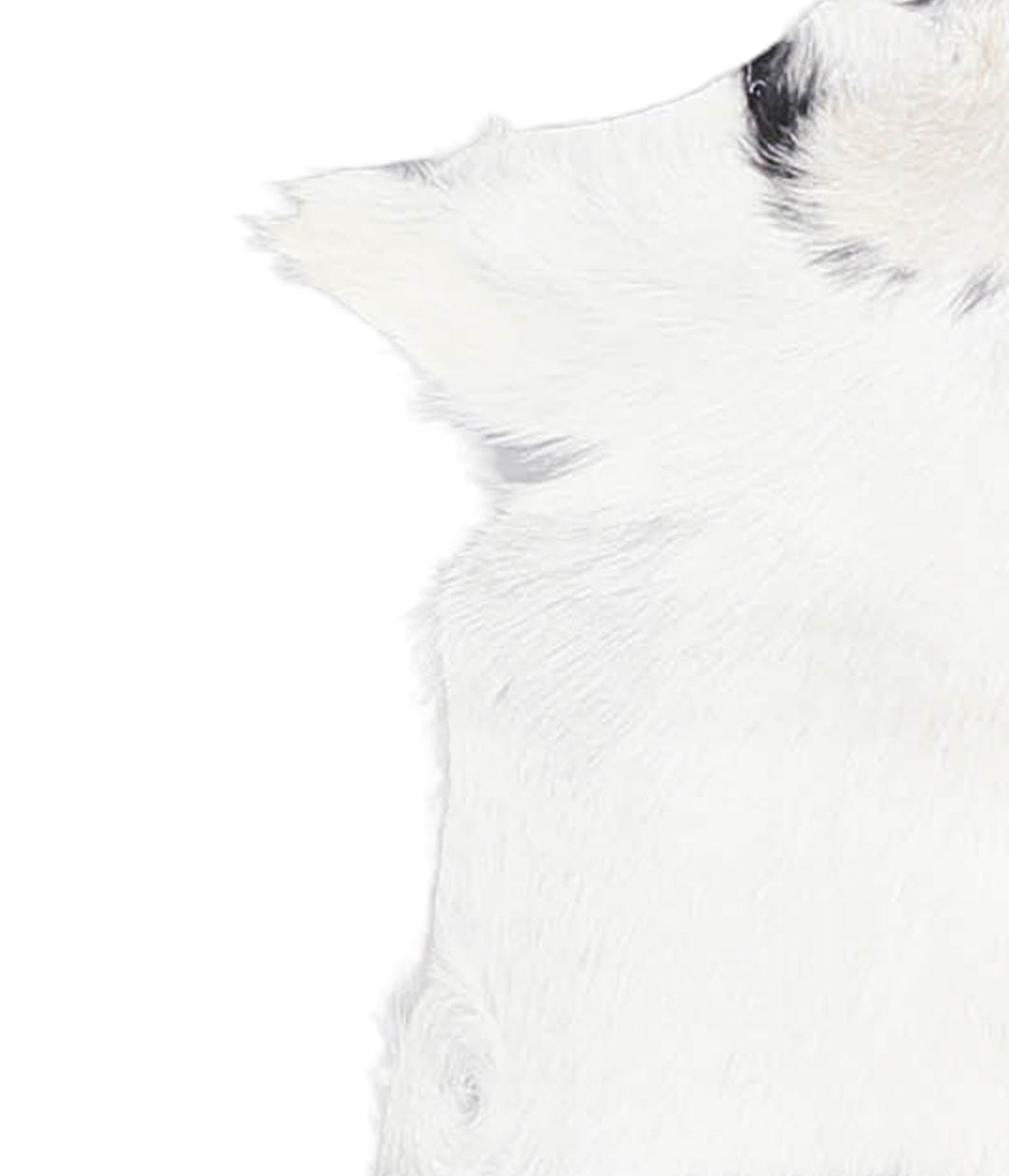 Goatskin Approx 2'3 #A28061 by Hudson Hides