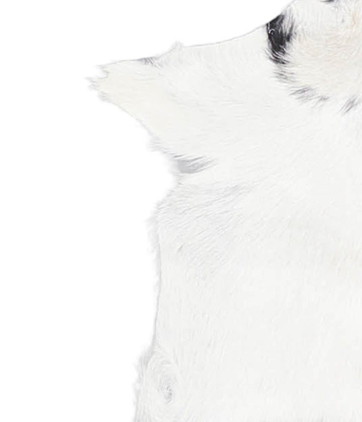 Goatskin Approx 2'3 #A28061 by Hudson Hides