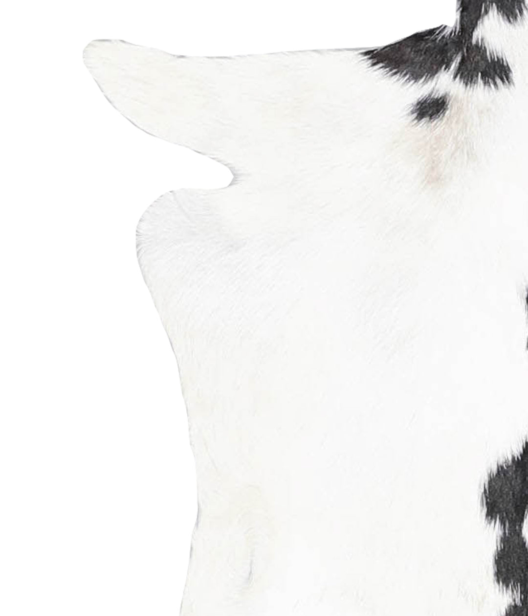 Goatskin Approx 2'3 #A28073 by Hudson Hides