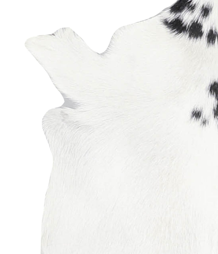 Goatskin Approx 2'3 #A28079 by Hudson Hides