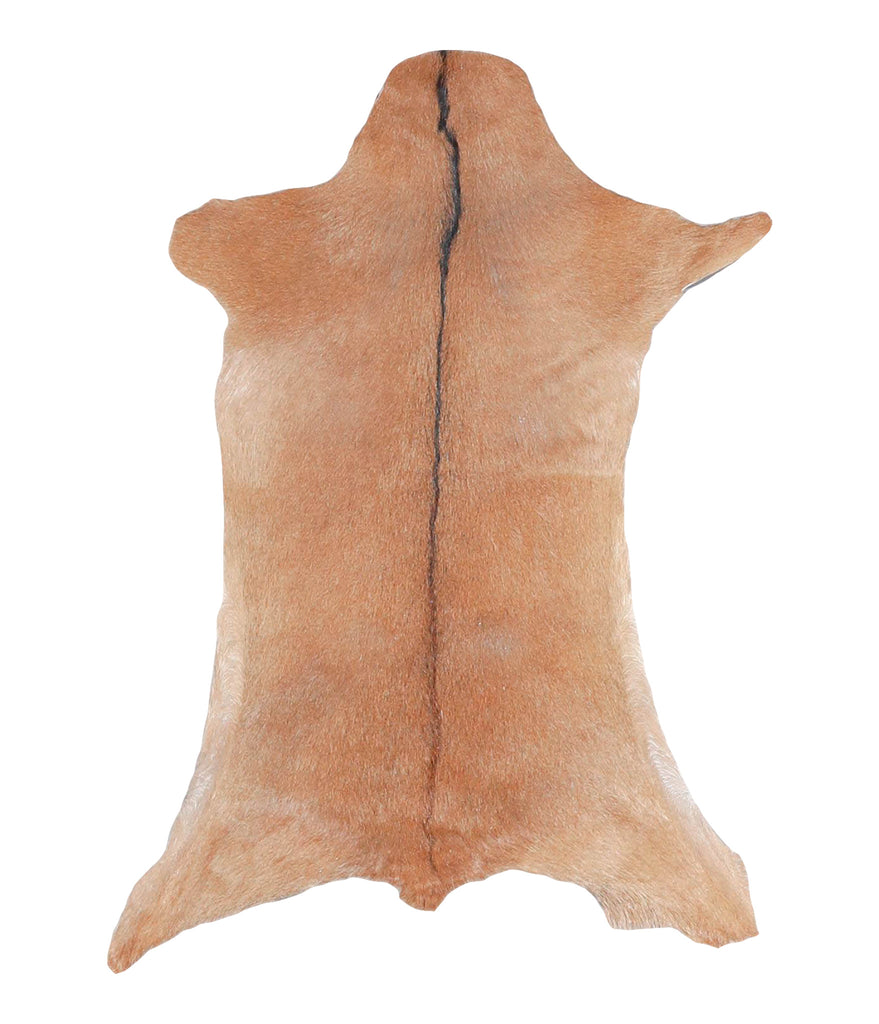 Goatskin Approx 2'3 #A28085 by Hudson Hides