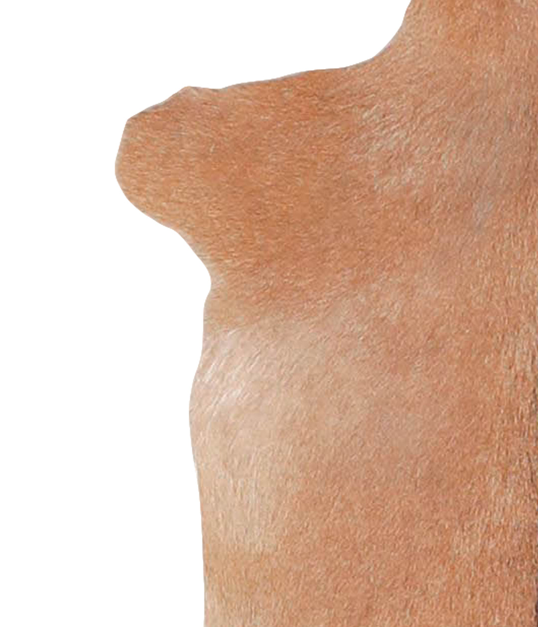 Goatskin Approx 2'3 #A28085 by Hudson Hides
