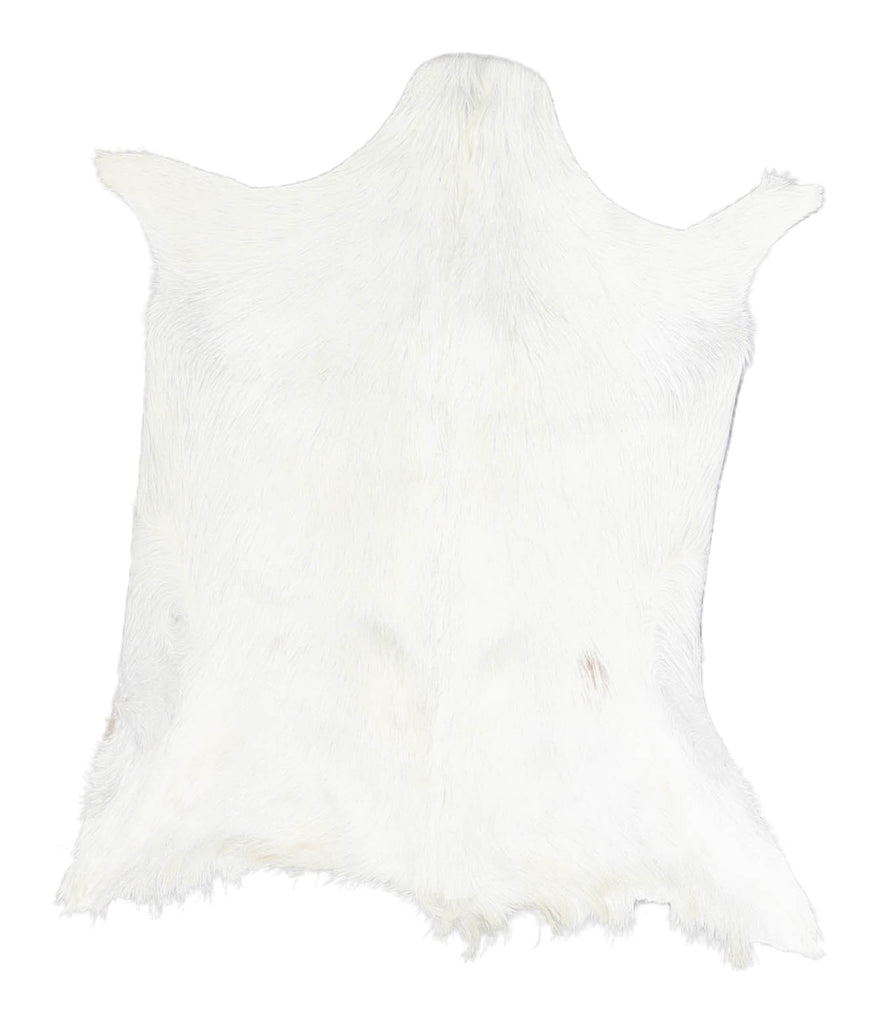 Goatskin Approx 2'3 #A28096 by Hudson Hides