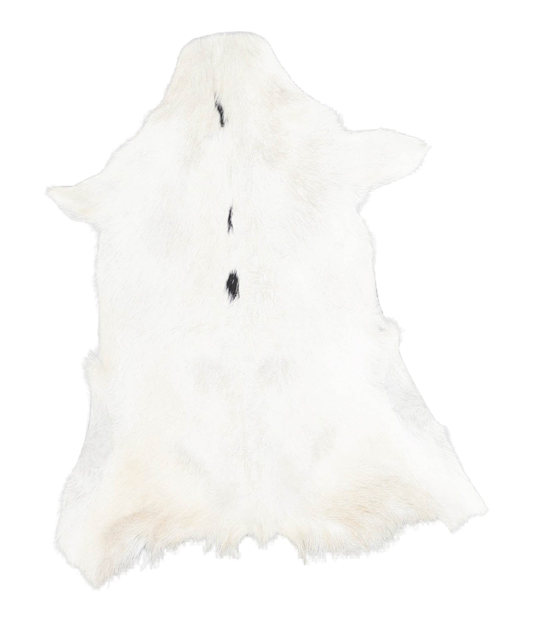 Goatskin #A28114