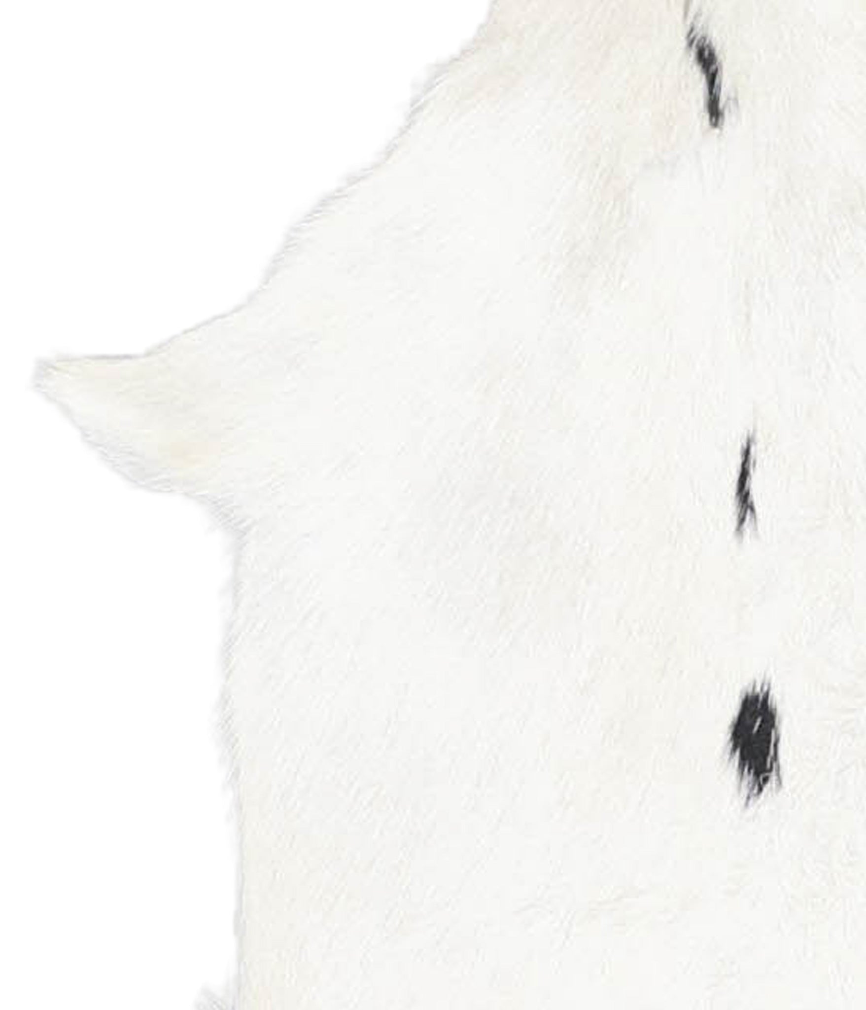Goatskin #A28114