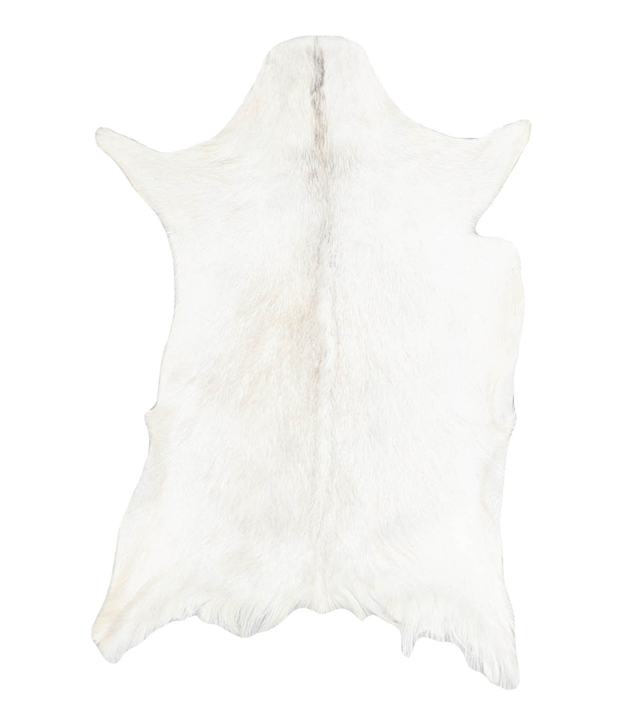 Goatskin Approx 2'3 #A28122 by Hudson Hides