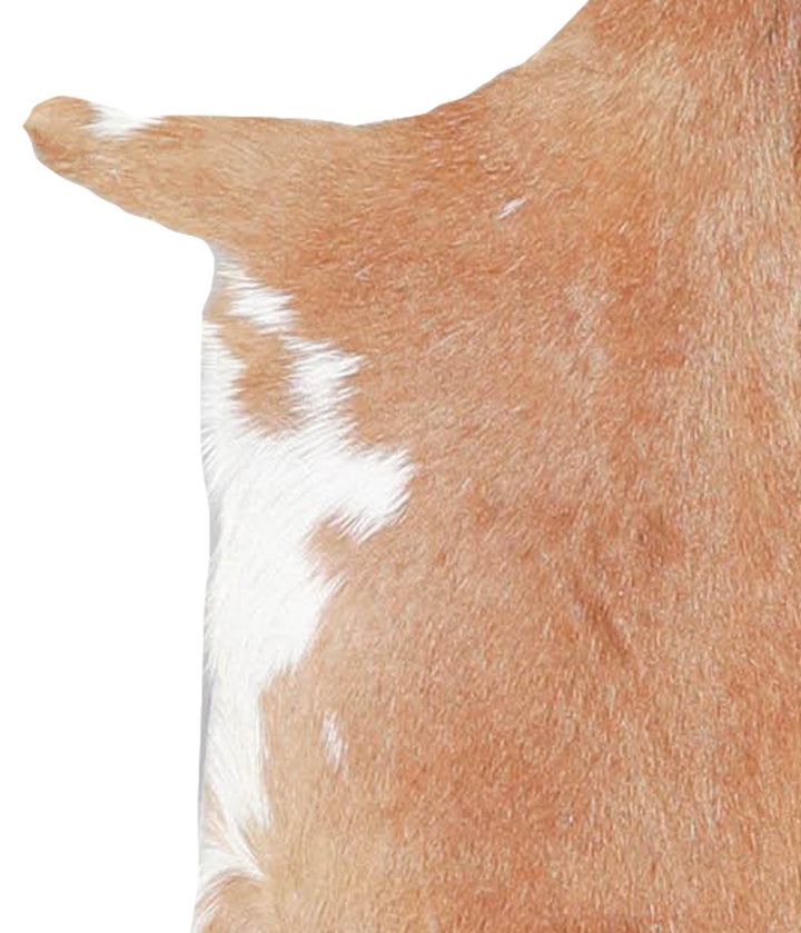 Goatskin Approx 2'3 #A28143 by Hudson Hides