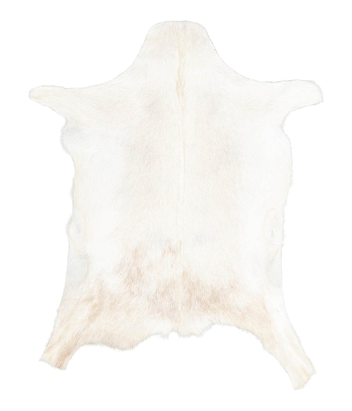 Goatskin Approx 2'3 #A28148 by Hudson Hides