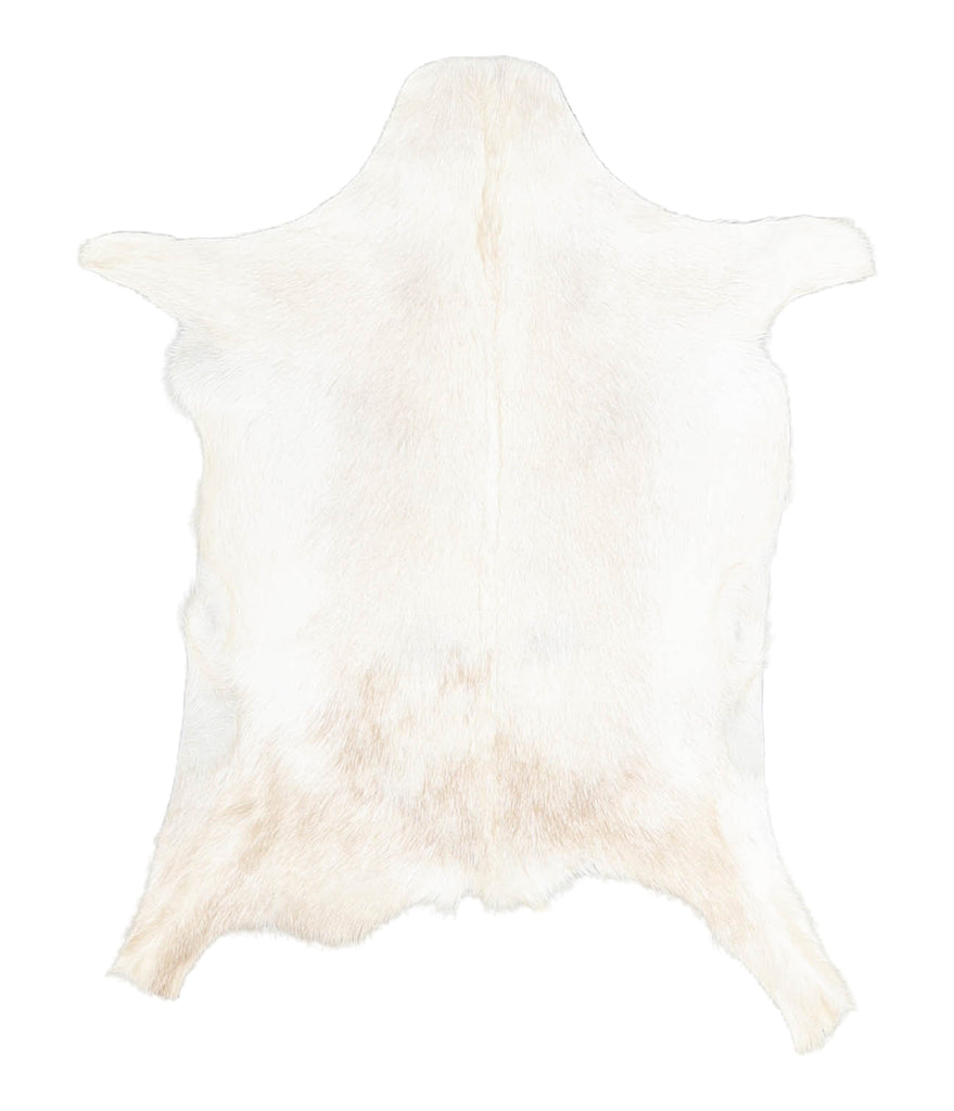 Goatskin Approx 2'3 #A28148 by Hudson Hides