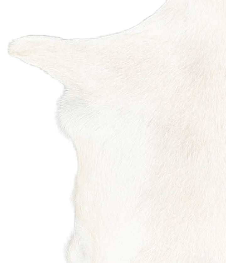 Goatskin Approx 2'3 #A28148 by Hudson Hides