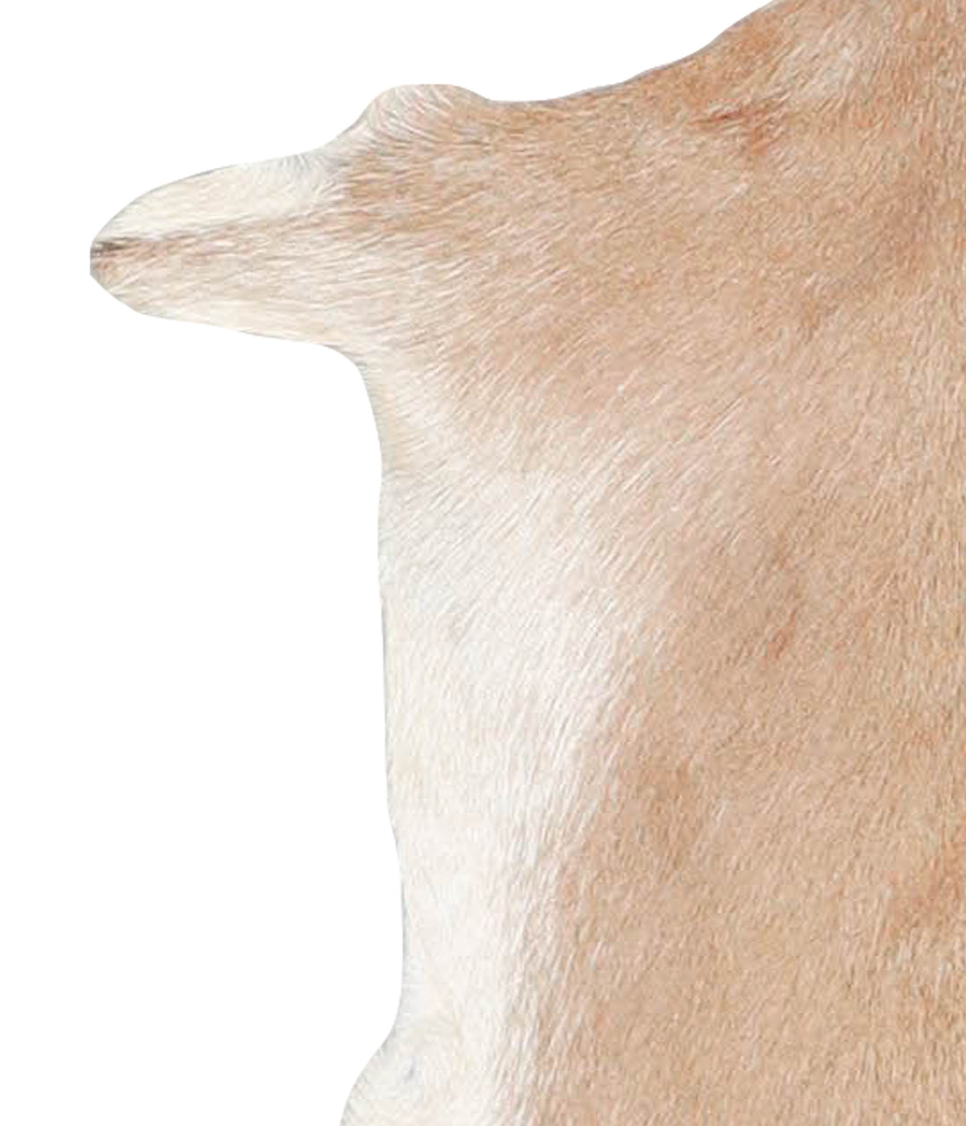 Goatskin Approx 2'3 #A28152 by Hudson Hides