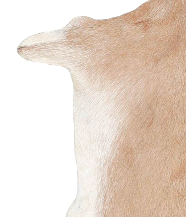 Goatskin Approx 2'3 #A28152 by Hudson Hides