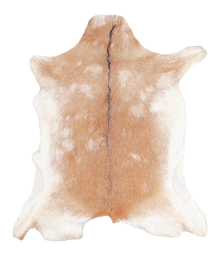 Goatskin Approx 2'3 #A28153 by Hudson Hides