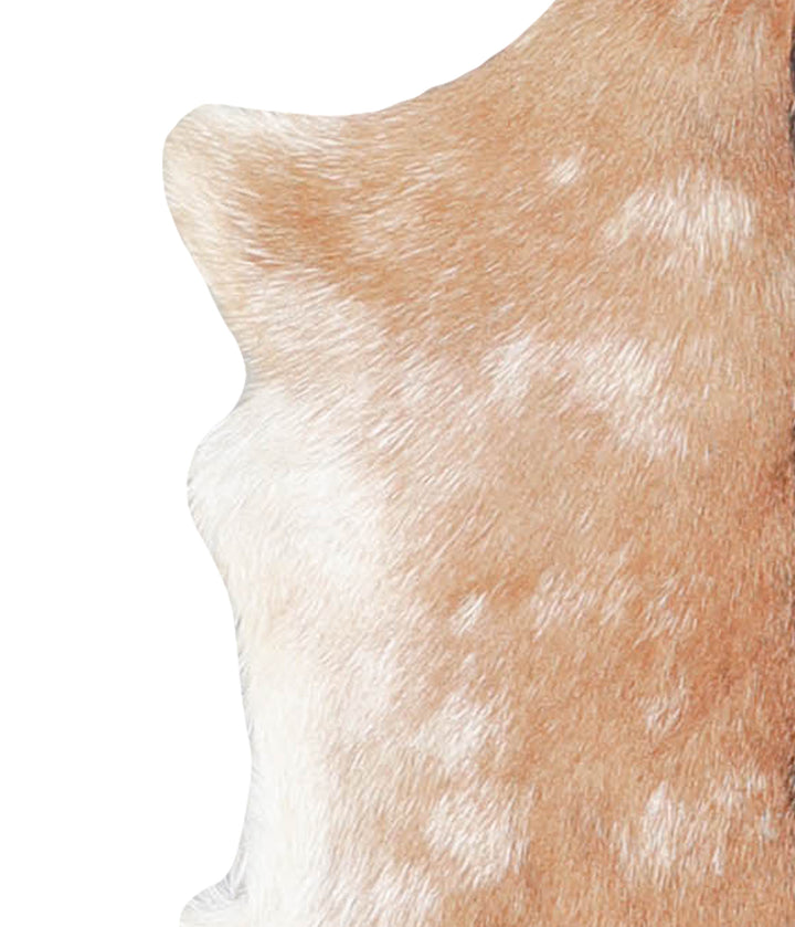 Goatskin Approx 2'3 #A28153 by Hudson Hides