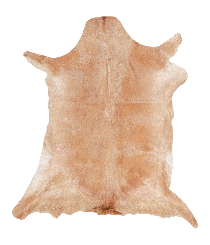 Goatskin Approx 2'3 #A28157 by Hudson Hides