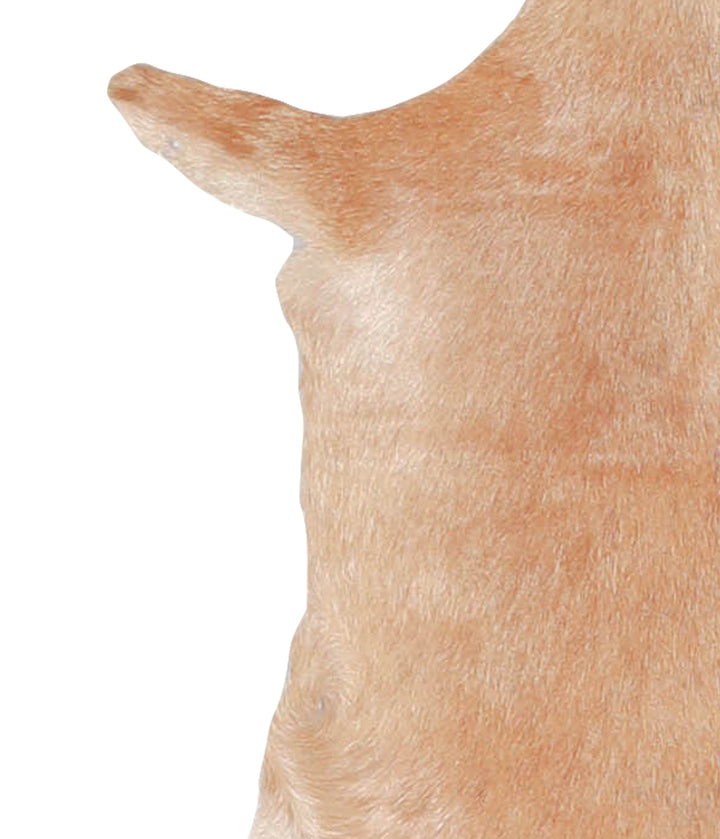 Goatskin Approx 2'3 #A28157 by Hudson Hides