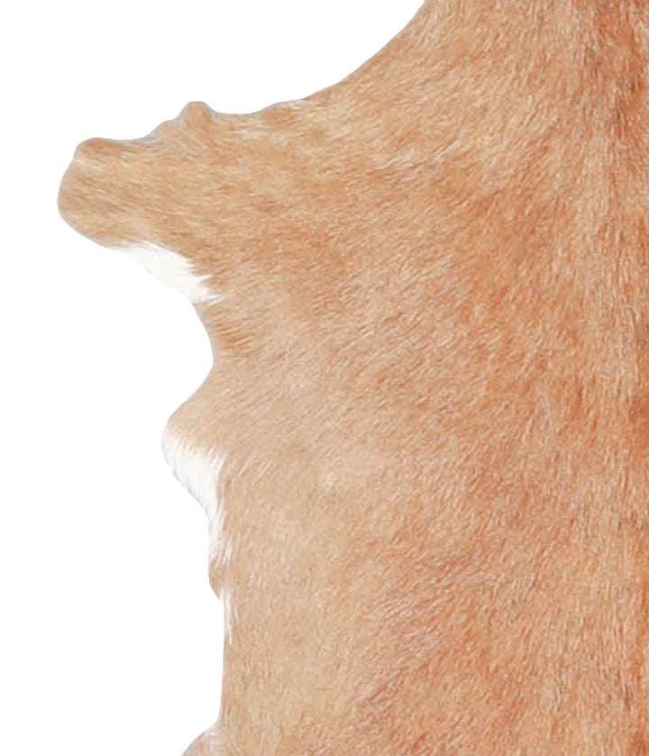Goatskin Approx 2'3 #A28158 by Hudson Hides